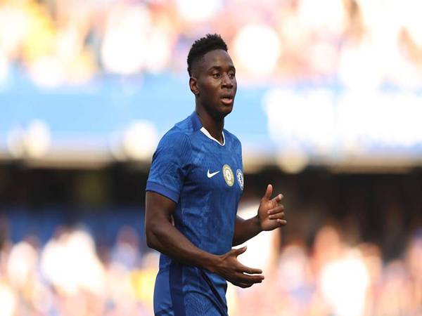 Tin Chelsea: Tiền về Dario Essugo dính chấn thương