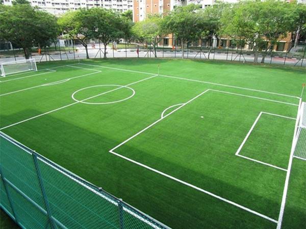 Sân bóng đá 7 người có hình gì?