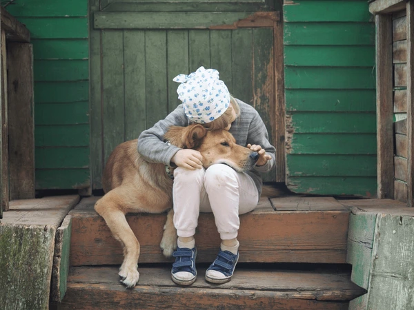 Nằm mơ thấy chó quấn quýt mình là điềm gì, số nào may mắn?