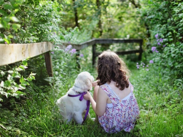 Giải mã nằm mơ thấy chó quấn quýt đánh con gì, số mấy trúng thưởng?